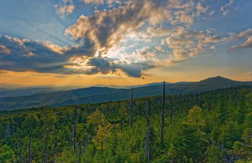 Ferienwohnung im Landhaus am Nationalpark - Foto 31