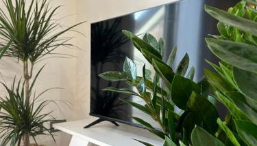 La casa sul tetto - Foto 4