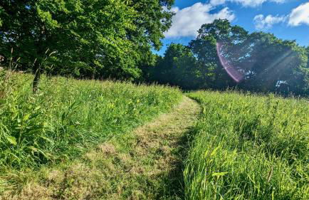 Luxury Shepherds Hut on Powis House Estate - Foto 32