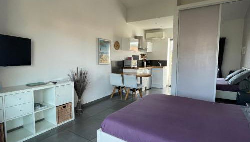 Plage à 400 m Studio tout confort Terrasse Clim Parking - Foto 4