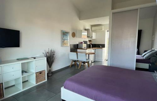 Plage à 400 m Studio tout confort Terrasse Clim Parking - Foto 4