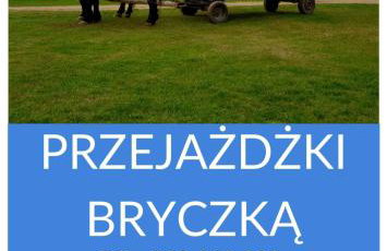 Apartament Wiejska Sielanka - Photo 33