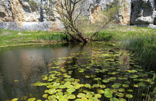 La Casona de El Royo - Foto 33