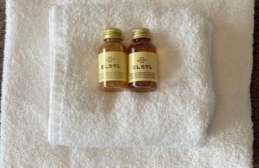 Alverstoke Manor - family home with pool table - Photo 34