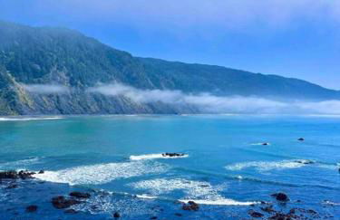 Shelter Cove Brand New Beautiful Ocean View Home - Foto 18