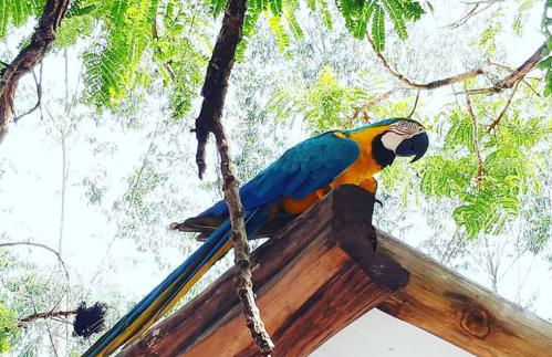 Chalé Container Nobres Asa Própria - Foto 15