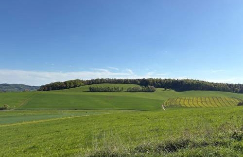 Appartement Pfingstrose - Foto 33