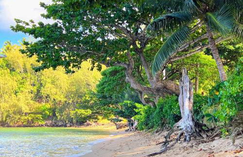 Anahola Beach House 6br - Foto 49