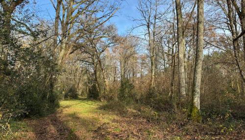 Domaine des Quatre Vents - Foto 5