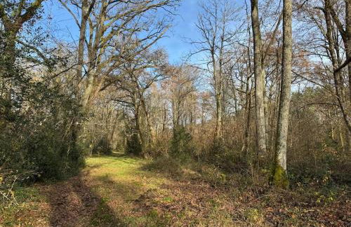 Domaine des Quatre Vents - Foto 5