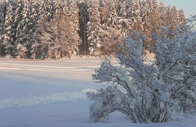 Appealing Apartment Near Lake - Foto 13