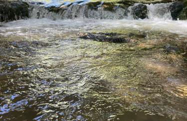 Apartamento Bronce - Foto 23