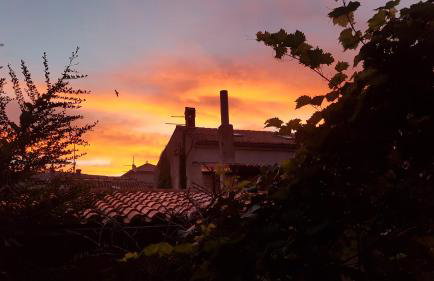 Apartment Lavanda garden - Foto 57