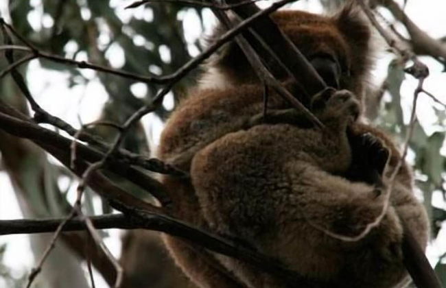 Allenvale - Photo 12