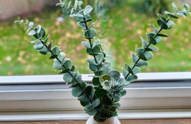 Charming Flat With Free Parking in Prime Location - Foto 16