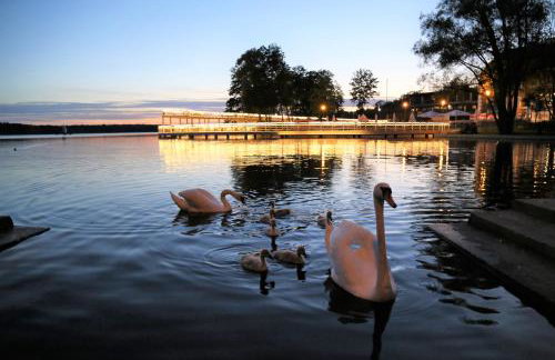 Apartament Ptasie Radio - Foto 19