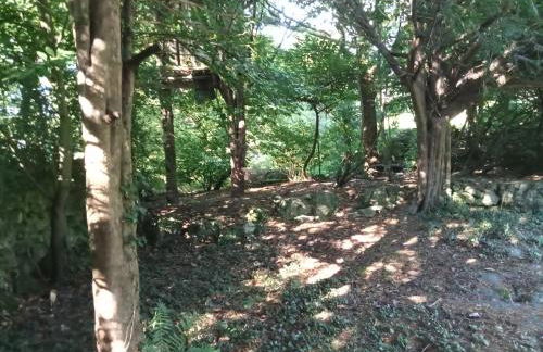 Bayview House Silverdale - Photo 17