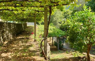 Quinta da Vinha Velha - Foto 77