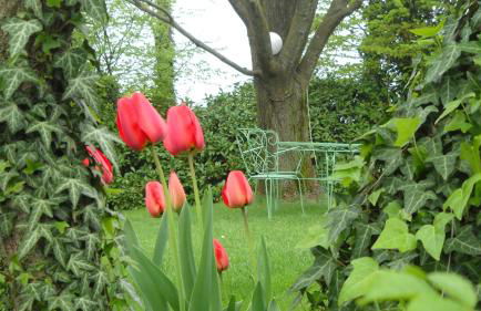 La Casa del Giardiniere - Foto 29