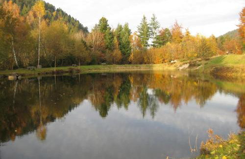 Chalet confortable dans les Vosges - 2 gîtes indépendants - FR-1-589-838 - Foto 35