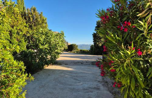 Hacienda el Mirador - Charming casa with lake and mountain view - Foto 38