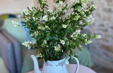 Lucky Home - Apartment Art Grožnjan - Foto 16