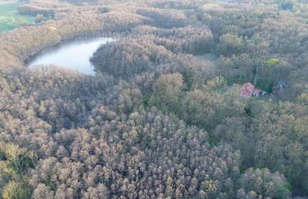 Altes Forsthaus Garzau - Foto 40