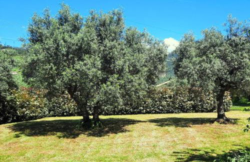 Versillia Olive Residence - Foto 32