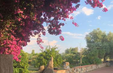 Su Giardinu - Foto 4