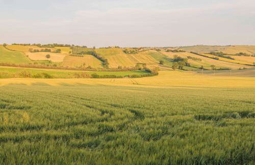 Agri Divin Amore - Foto 24