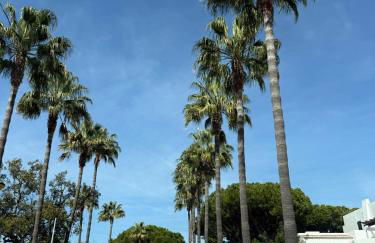 MyInzu - Club Albufeira Village Garden - Foto 16