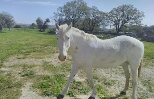 grottedisileno - Foto 20