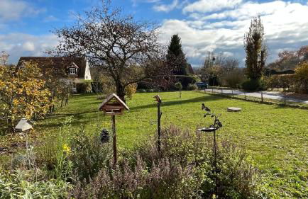 Au gré des oiseaux - Photo 6