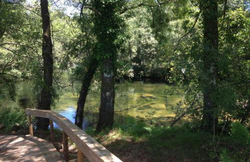 Casa do Avô - Foto 77