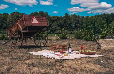 Arca dos Animais - Farming & SPA - Foto 20