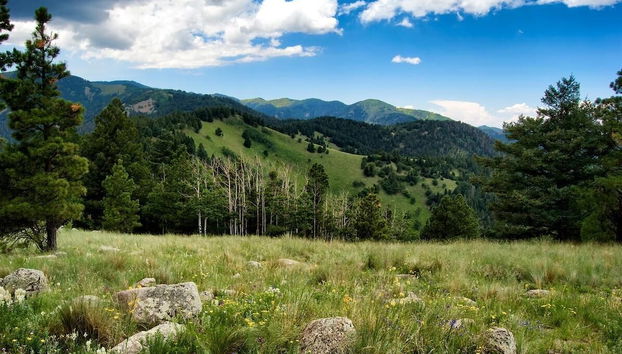 Elks Landing by Ruidoso Vacation Rentals - Foto 4, Servicios del alojamiento