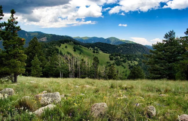 My Happy Place - Foto 39