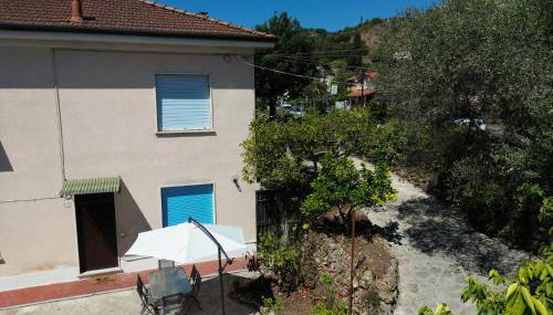 Il giardino delle Cycas - Foto 3