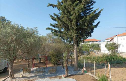 KTIMA ALEXANDROS - Photo 17