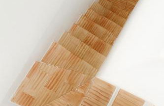 Alma Marina Lagos - Foto 11