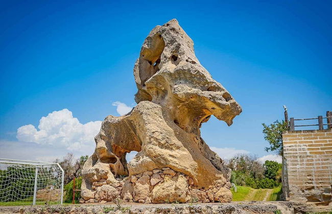Torre Casciani - Foto 60