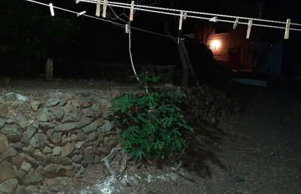 Villa Kotetsi - Rooms To Let - Volissos - Chios - Foto 12