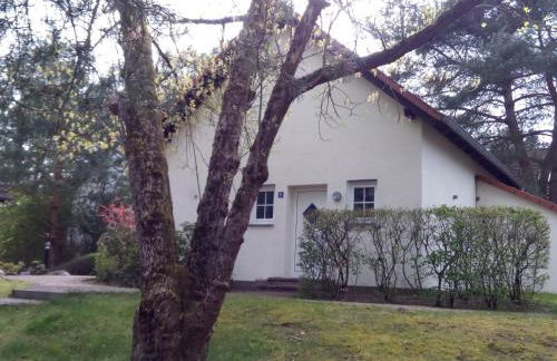 Lenzer Parkblick am Plauer See - Foto 6