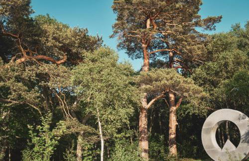 Lodge at Loch Lomond - Foto 45