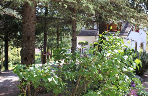 Le Conifere - Foto 14