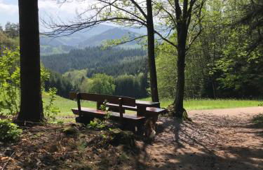 Ferienwohnung Hesselbach - Foto 28