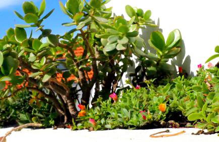 ten2twelve - Foto 80