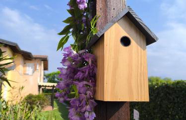 Apartment Dragonfly - Photo 22