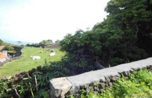 Casa do Norte - Foto 38