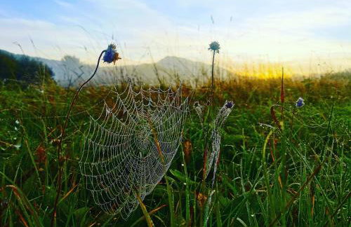 Wetlina 21 - Foto 19